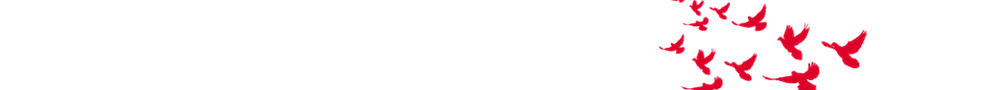 1598494090143839.png 未定名_副本.png